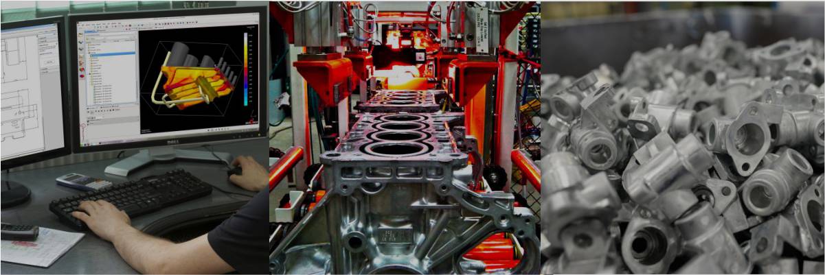 About Us Intact Mould